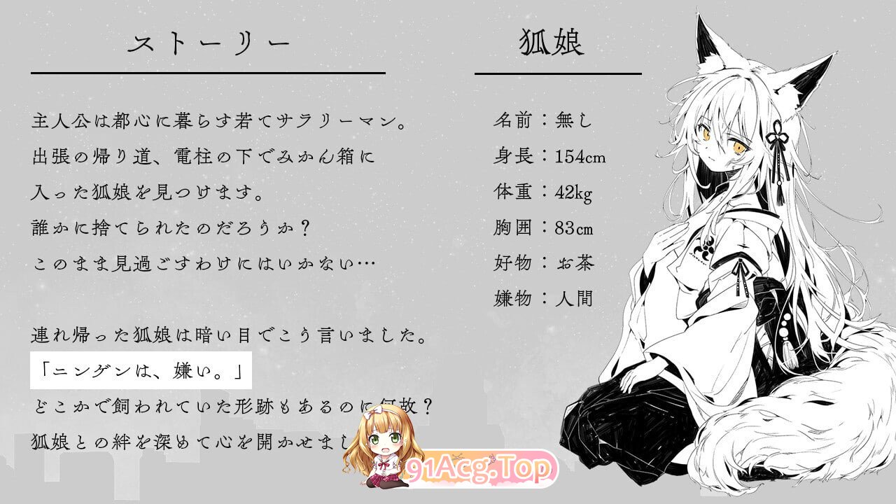 捡到的狐娘逐渐亲近的夜晚 拾った狐娘が少しずつ懐いてくる夜 内嵌AI汉化版 双端 预览图