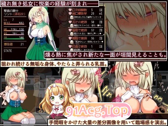 リント・ルクローズ ～聖盾の騎士～ Lint Lucrose-Knight of the Holy Shield - Final PC端 汉化版 预览图
