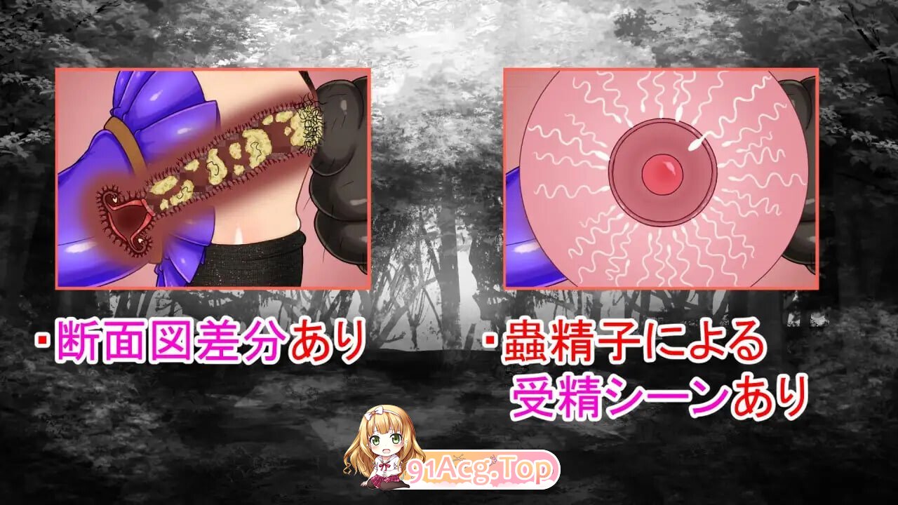 NTRRPG外伝～蟲姦の書v1.1 PC端 官中版 预览图