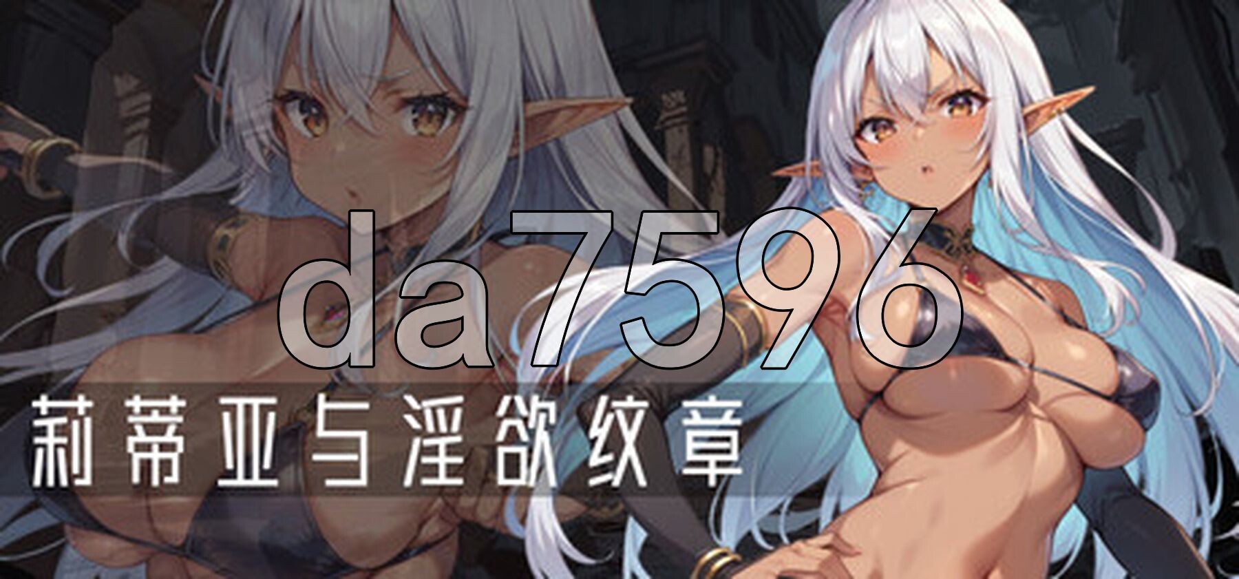 莉蒂亚与迷宫纹章 Steam官方中文高清版 PC端 官中高清版 预览图