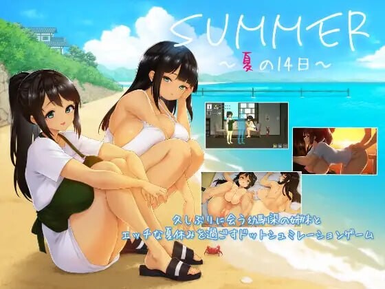 SUMMER ~夏日的14天 SUMMER ~夏の14日 安卓端 官中高清版 预览图