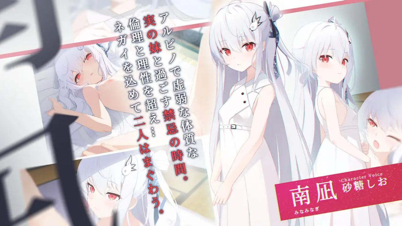 破碎的祈愿 カタネガイ PC端 官中版 预览图