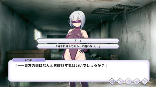 圣核战姫 DX オペレーションダークサイド：聖核戰姫壞滅作戰 DX Operation Darkside DX v2.8 PC端 官中版 预览图