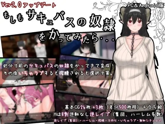 如果买了一个魅魔奴仆的话……もしもサキュバスの奴○をかってみたら・・・ PC端 汉化版 预览图
