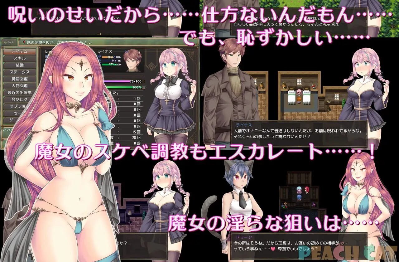 连续绝顶 Sister Maiden 連続絶頂 Sister Maiden PC端 预览图