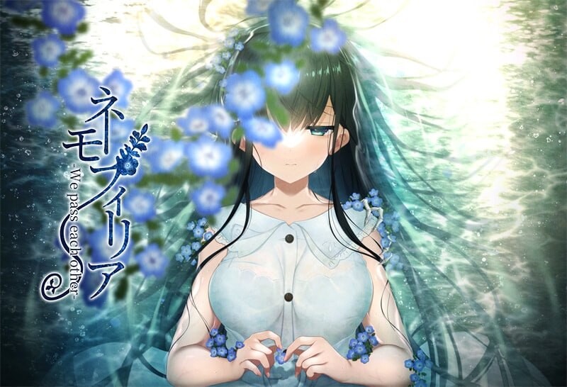 喜林草 -我们擦肩而过-ネモフィリア -We pass each other- v1.30 PC端 汉化版 预览图