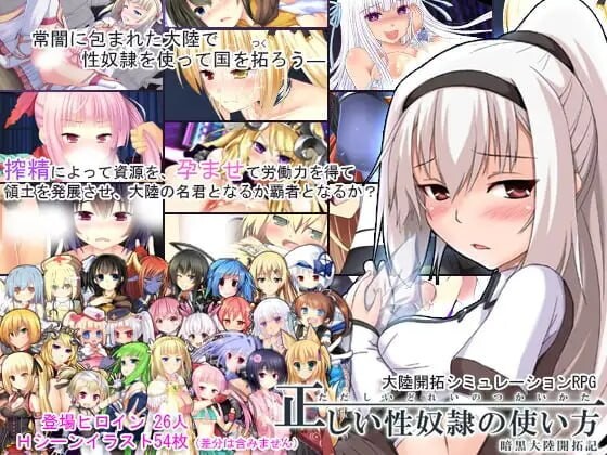 题材隶的正确使用方法-暗黑大陆开拓记- 正しい题材隷の使い方-暗黒大陸開拓記- v2.2.0 PC端 汉化版 预览图