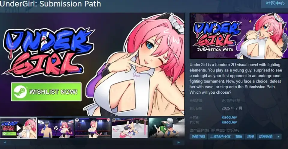 UnderGirl：困境之路 官中汉化(UnderGirl: Submission Path/UnderGirl：服從之路) 直连 PC端 官中版 预览图