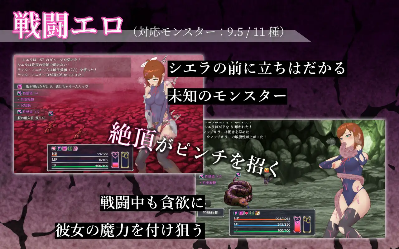 希尔艾拉的淫靡异常调查 -女剑士独自达到高能- シエラの淫らな異変調査 -女剣士はソロでイク PC端 AI汉化更新版 预览图