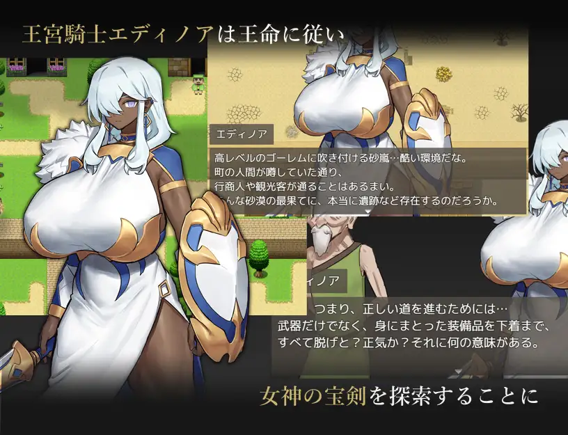 王宫骑士的决心 王宮騎士のデタミネーション 双端 AI汉化版 预览图