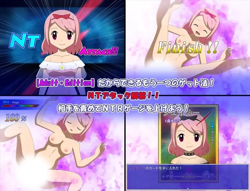 卡片收纳器 Adult・Edition カードナー PC端 汉化版 预览图