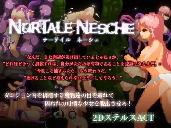 娜蒂尔·涅舍 ナーテイル・ネーシェ PC端 官中更新版 预览图