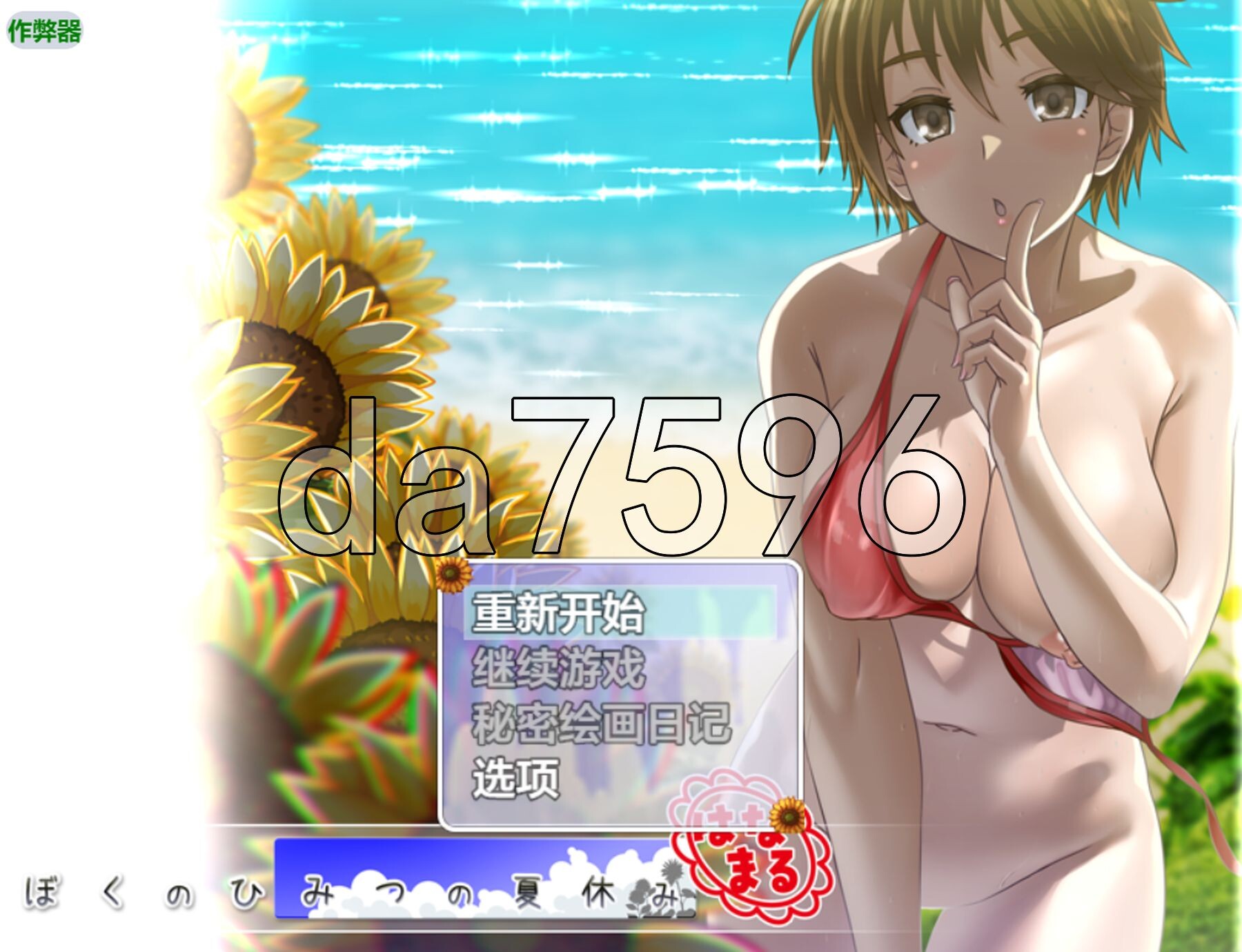 我秘密的暑假时光 ぼくのひみつの夏休み はなまる v1.0.0 内嵌AI汉化版 PC端 预览图