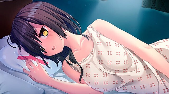 拔作岛 2/NUKITASHI Ver2.02 PC端 官中版 预览图