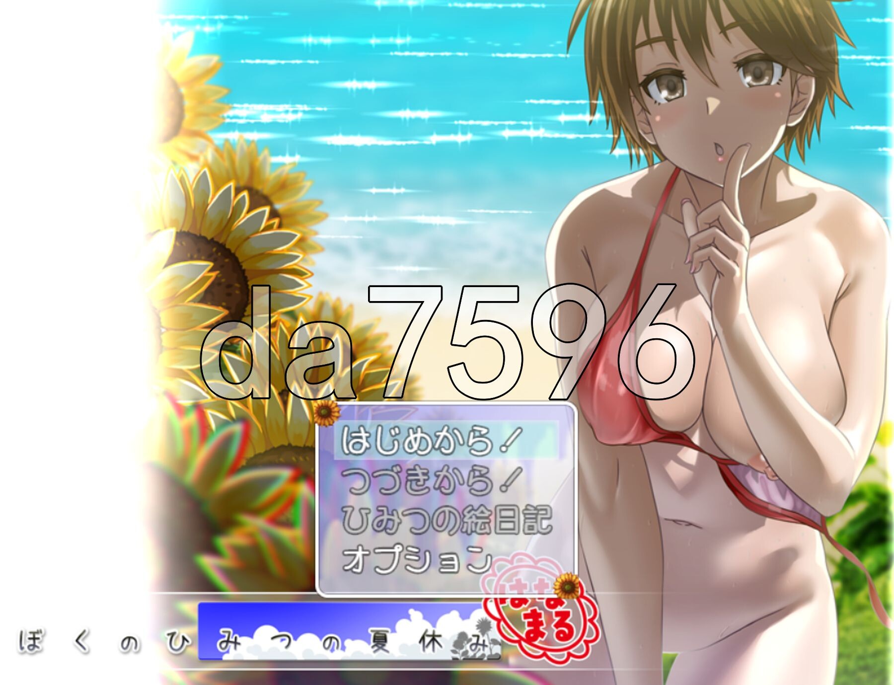 我秘密的暑假时光 重制版 ぼくのひみつの夏休み はなまる ver1.1.9 内嵌AI汉化版+去码 PC端 预览图