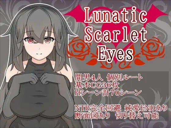 狂乱的猩红之眼 Lunatic Scarlet Eyes v1.0.3 PC端 汉化版 预览图