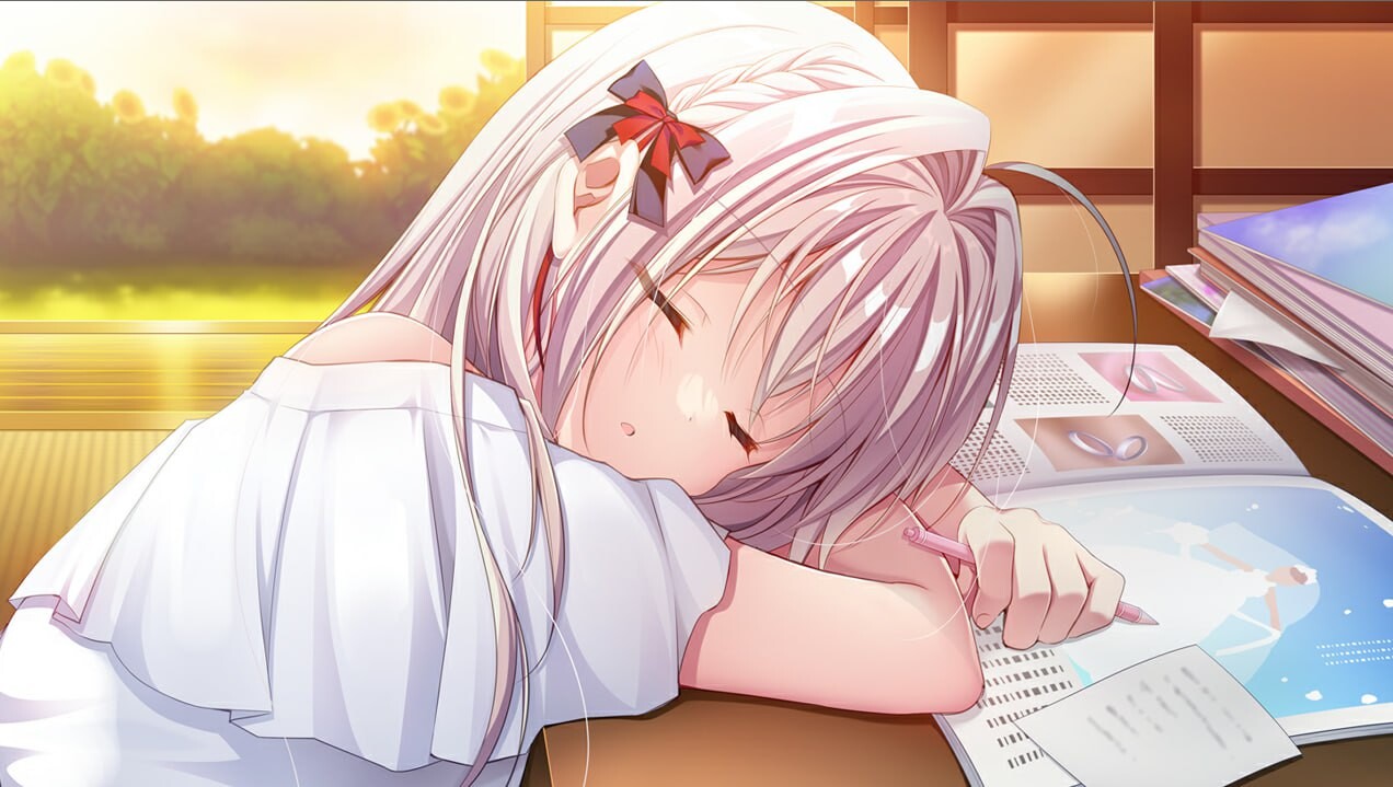 流星 FD 流る星 ふぁんでぃすく v1.1 PC端 汉化版 预览图