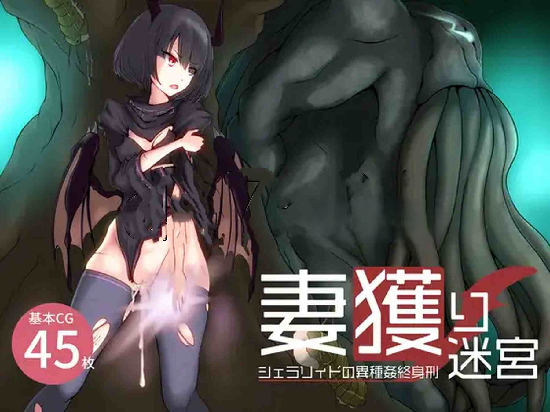 猎妻迷宫 Hunting Labyrinth V1.09 STEAM官中版 PC端 预览图