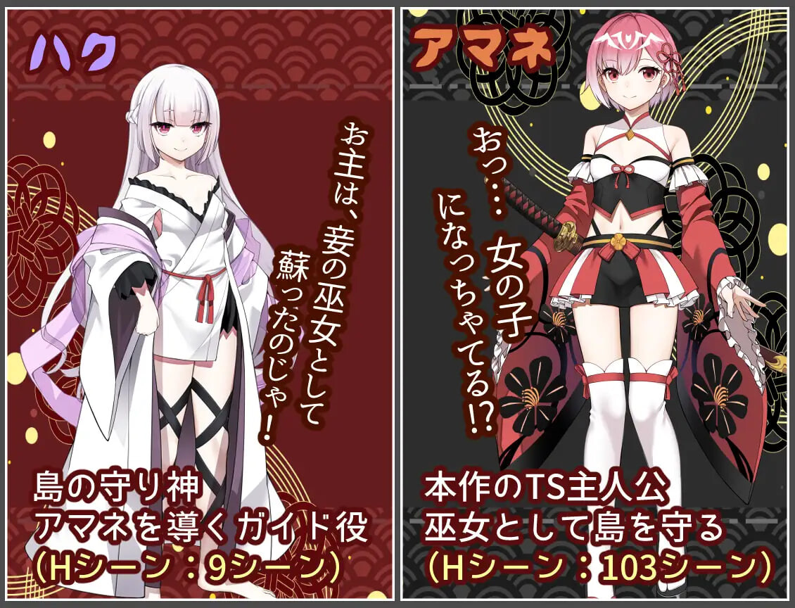 白龙之巫女与神宿之祸岛 白龍ノ巫女と神宿りの禍ツ島 PC端 汉化版 预览图