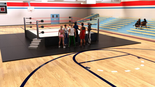 摔跤王朝 Wrestling Dynasty v0.6 双端 AI汉化版 预览图