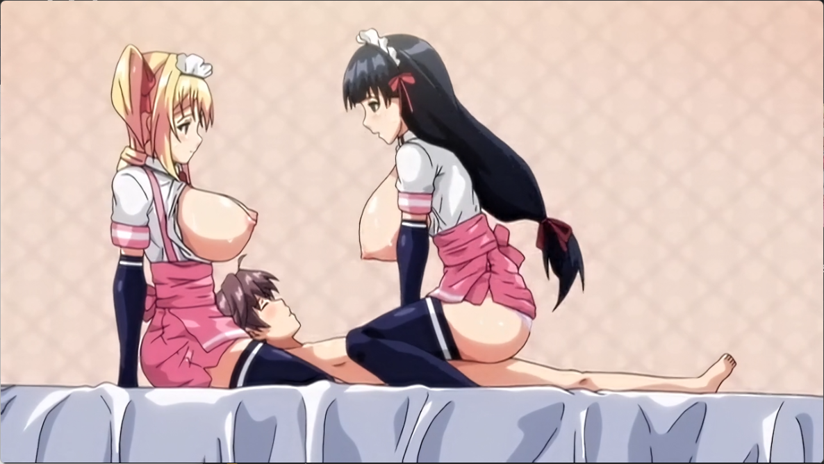 2D BOOTLEGマヨヒガのお姉さん THE ANIMATION 动漫视频 预览图