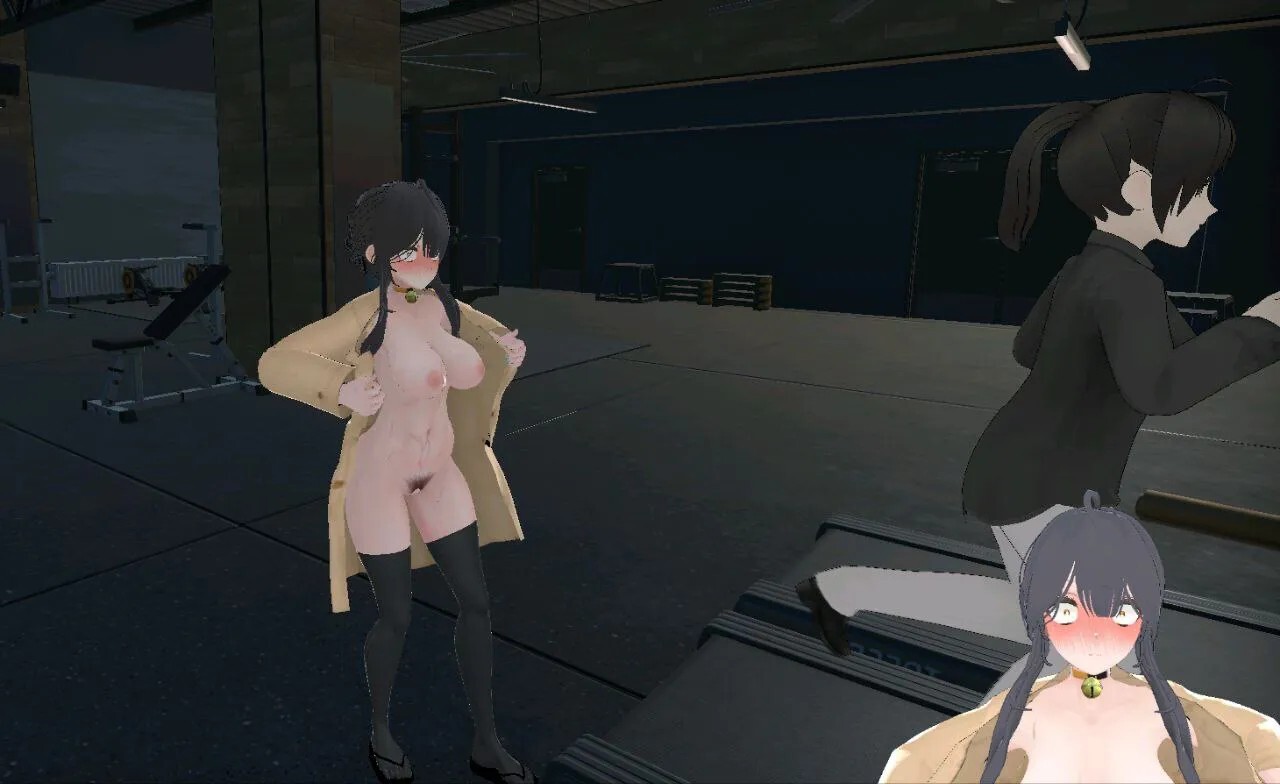 罗克珊 Roxanne Ver0.9.1 PC端 预览图