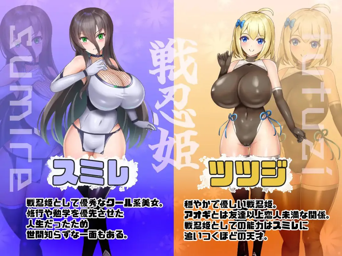 恶稼业对战忍姬/悪稼業対戦忍姫 PC端 汉化版 预览图