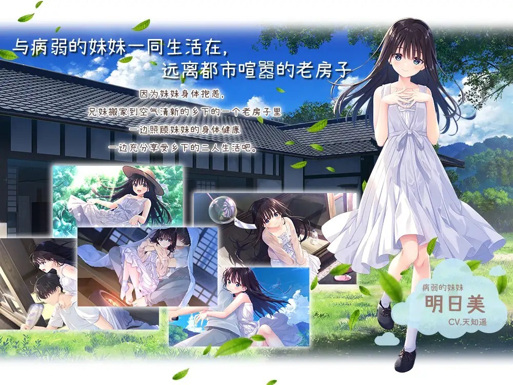 痴情哥哥与病弱妹妹的乡间生活 Sickly Days and Summer Traces DLC1-5 动态步兵官中版 PC端 官中步兵 预览图