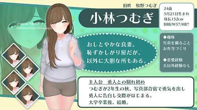 心爱的妻子在旅行中被NTR的波利尼西亚式性爱故事 PC端 AI汉化版 预览图