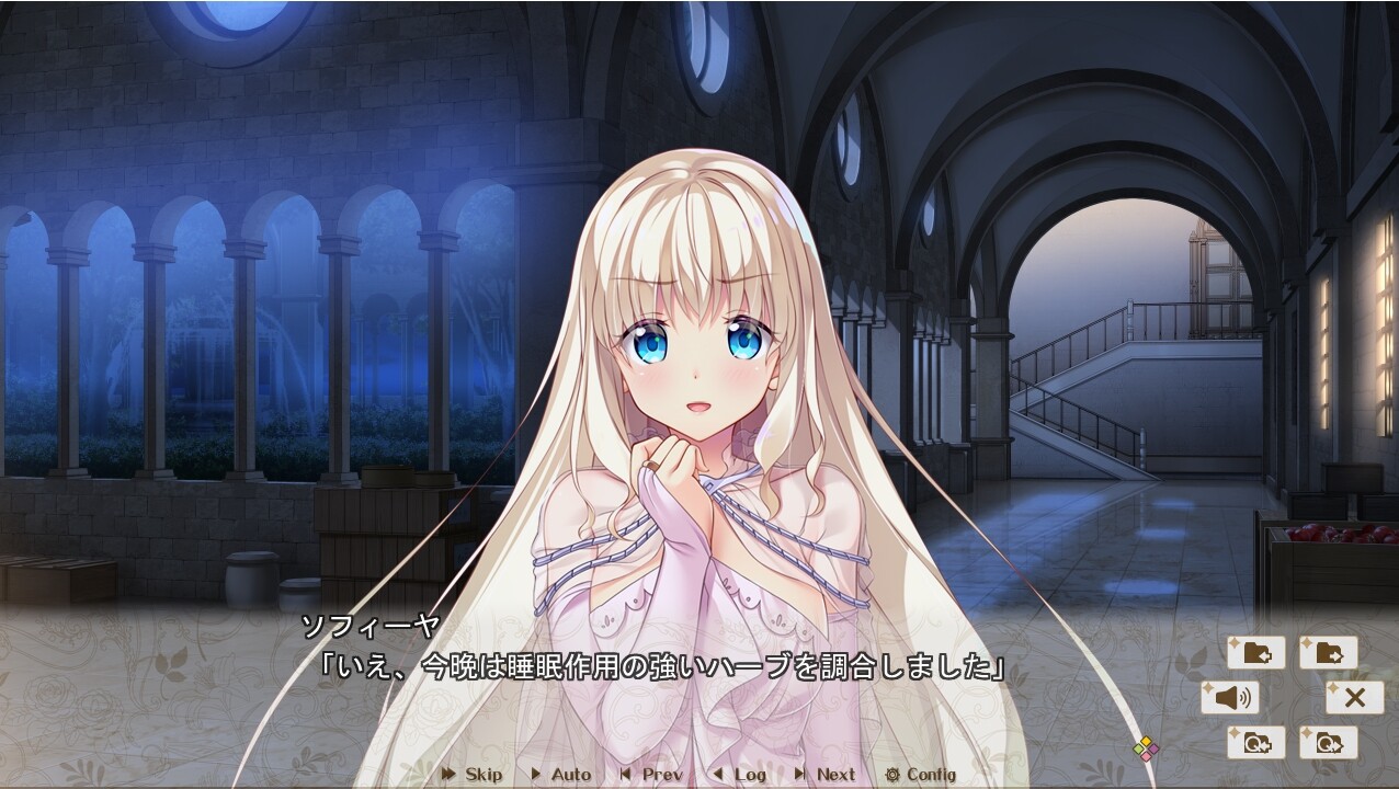 多角色关系王国FD1 光-索菲娅-琪琪篇 精翻汉化版 PC端 汉化完整版 预览图
