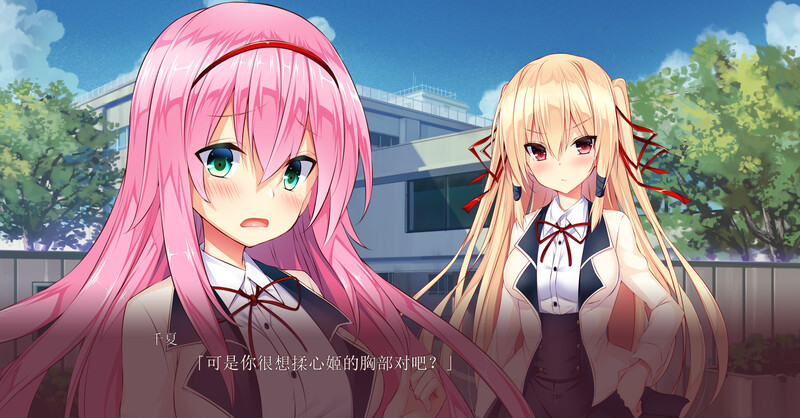 拔作ADV/制服女仆/2C 主人~请脱下我的女仆装（ご主人様、メイド服を脱がさないで）V1.0 PC端 AI汉化完整版 预览图