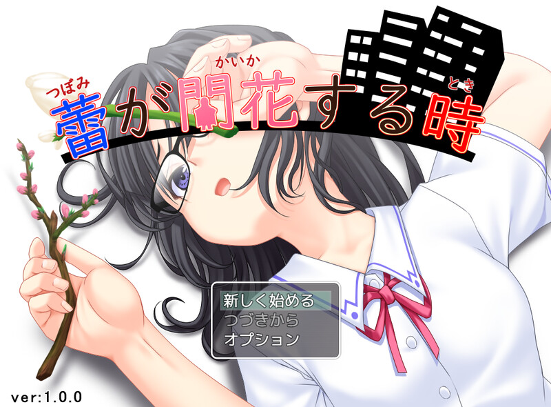 花蕾绽放之时▫️ 蕾が開花する時▫️ V1.0 PC端 AI汉化版 预览图