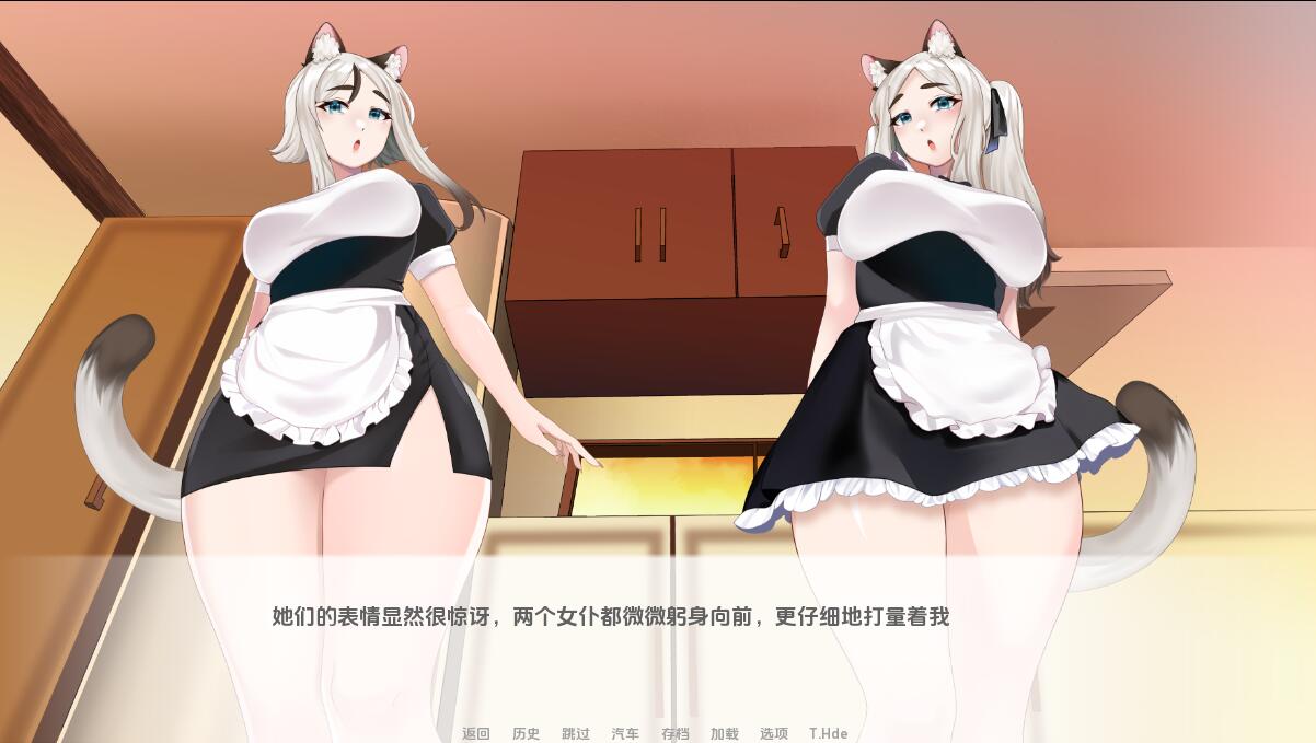 猫女 涅槃米糠 Nezumicon-v0.1.24 双端 汉化版 预览图