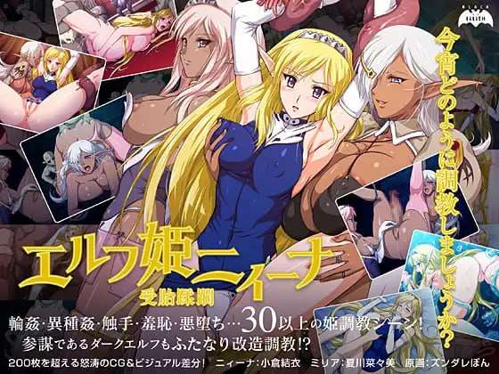 精灵公主妮娜 エルフ姫ニィーナ ～受胎蹂躙 v1.0 PC端 AI汉化完整版 预览图