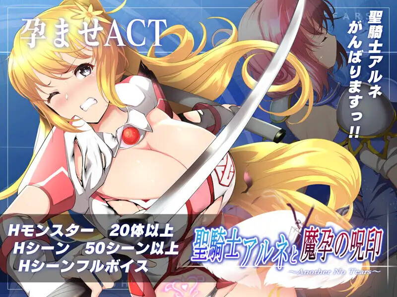 圣骑士阿恩与魔孕咒印（聖騎士アルネと魔孕の呪印～Another No Tears～）V1.0.10 DL官中 PC端 官中版 预览图